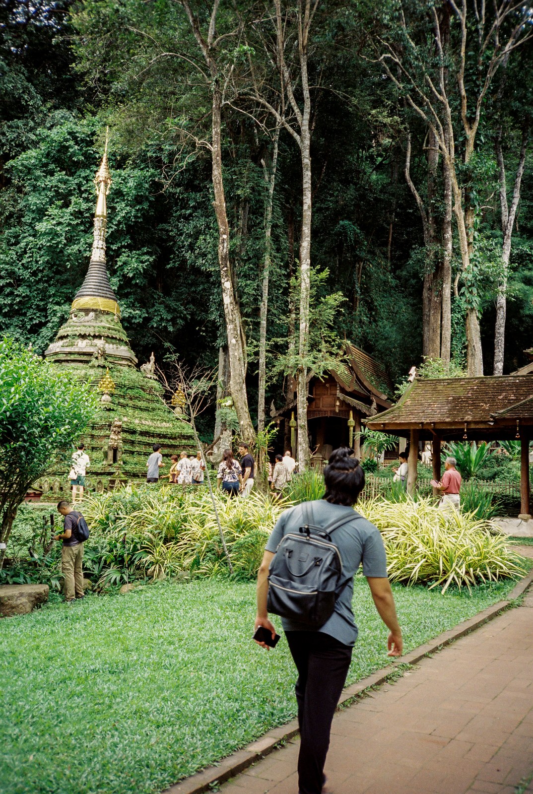 The path to a forest chedi