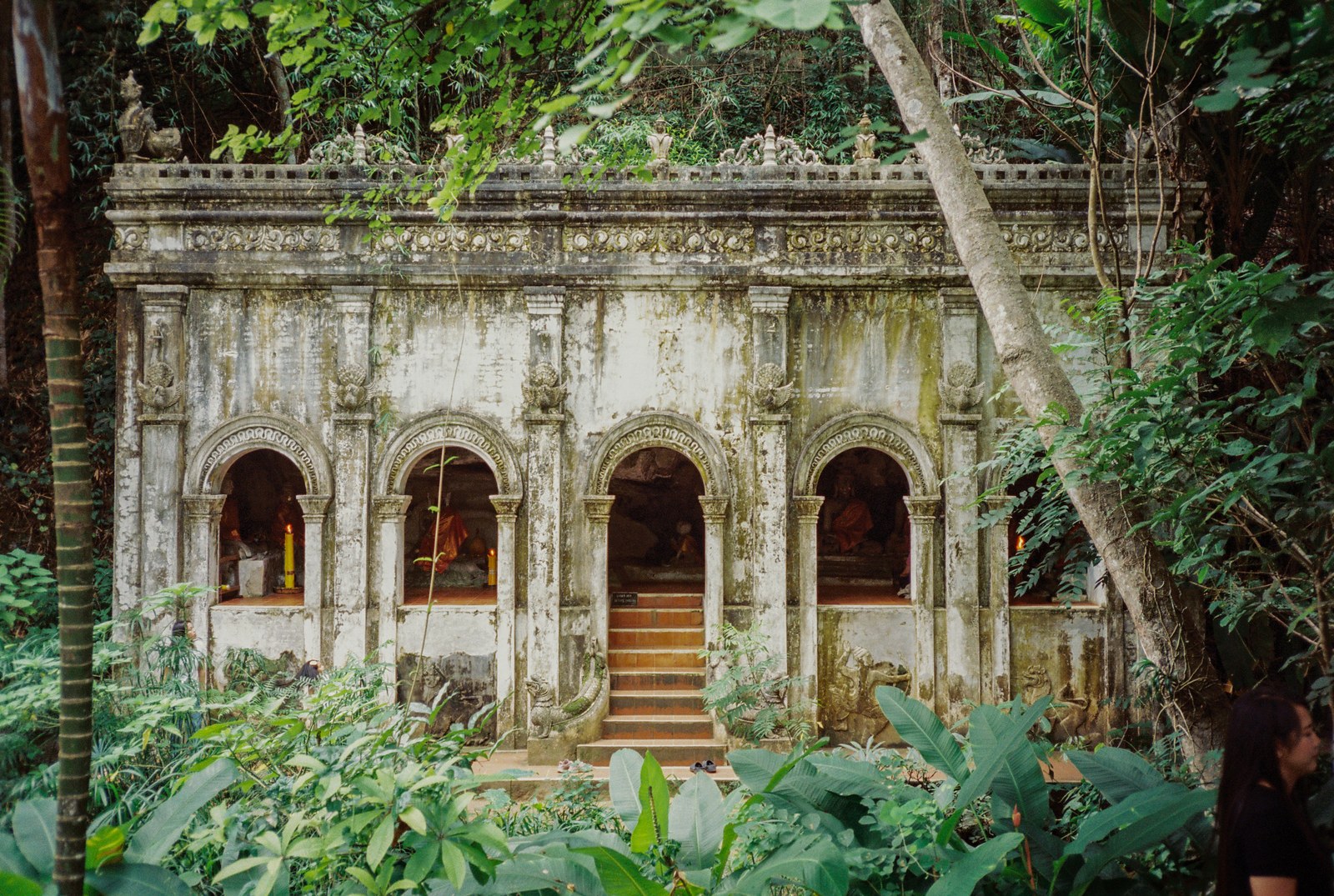A ruined temple in the jungle