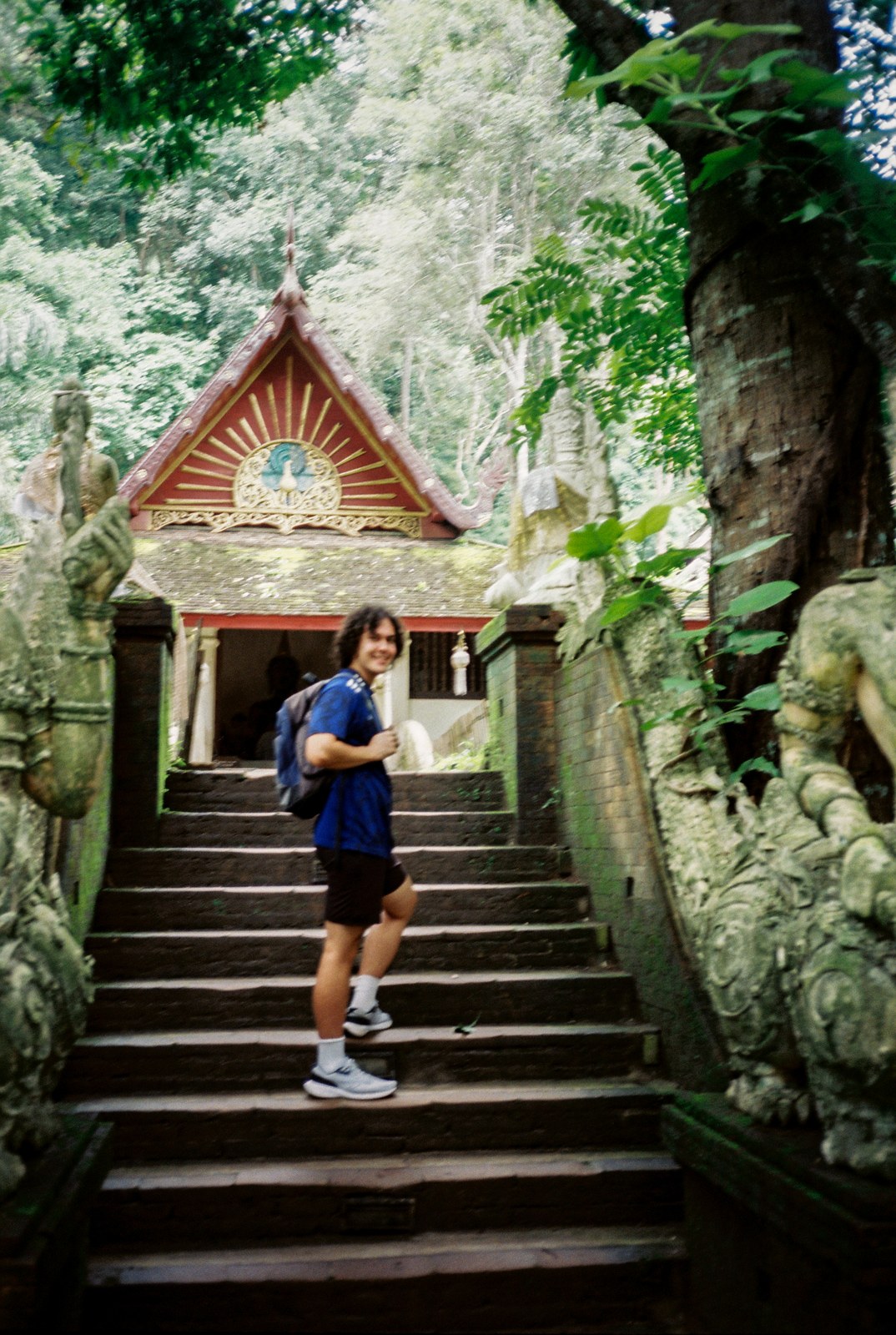 Temple stairs in the forest