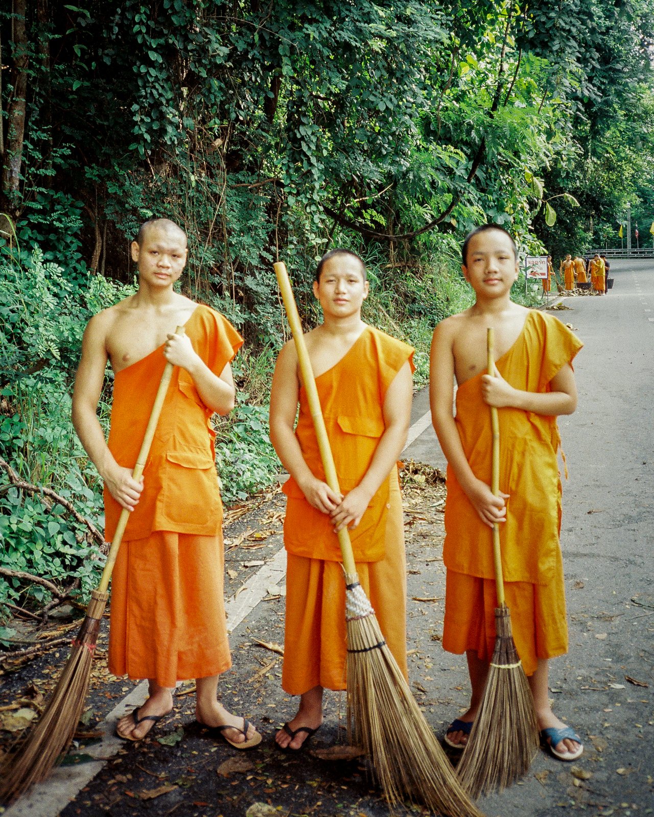 Three young monks with brooms on a forest road